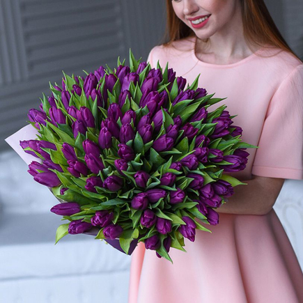 101 тюльпан «Пурпур»