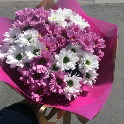 Букет из белых и розовых хризантем «Рандеву»